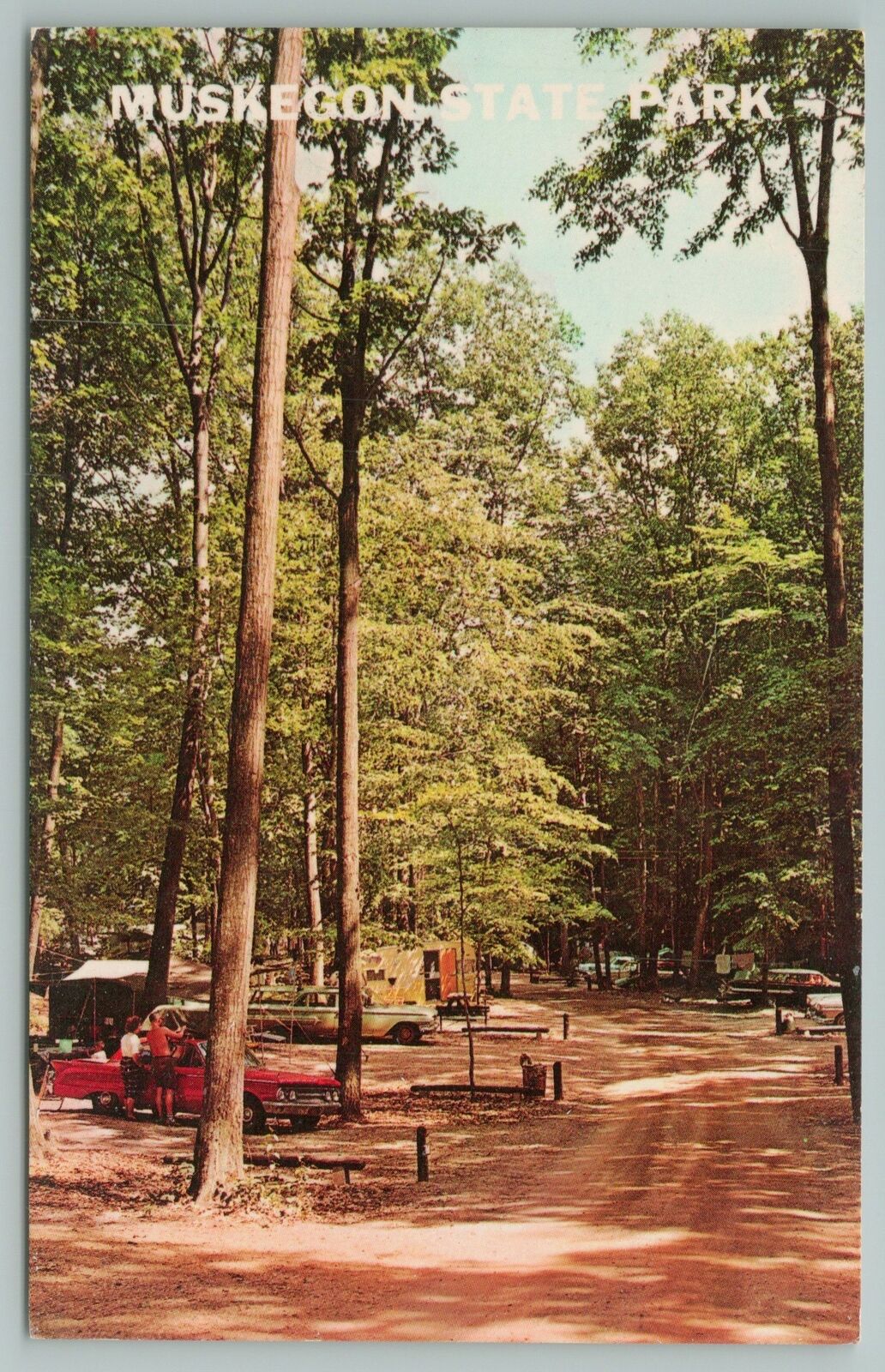 Lake Michigan~muskegon State Park View~vintage Postcard