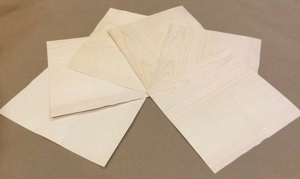 Maple Wood Veneer, Raw/unbacked - Pack Of 6 - 9" X 9" X 0.024" Sheets