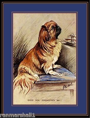 English Picture Print Pekingese Puppy Dog Dogs Begging Vintage Poster Art